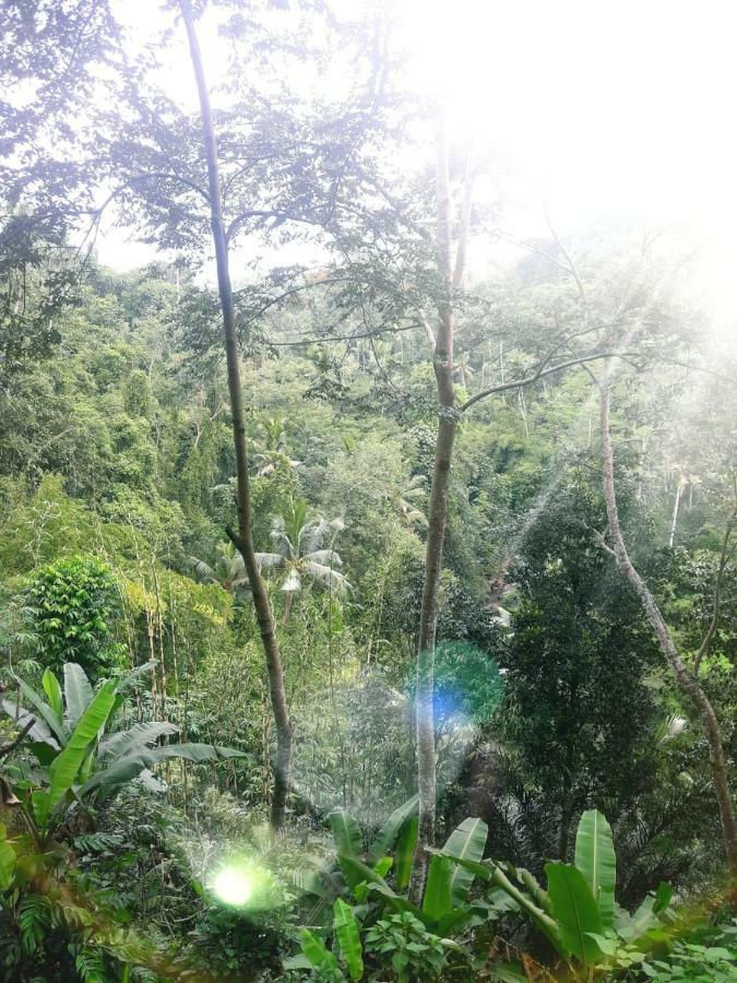 River Side House Ubud